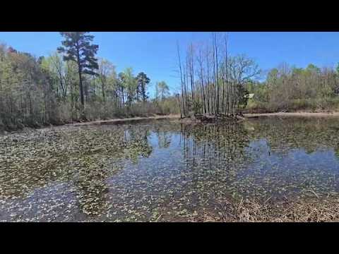 ASMR | Pond Update (Soft Spoken Voiceover)