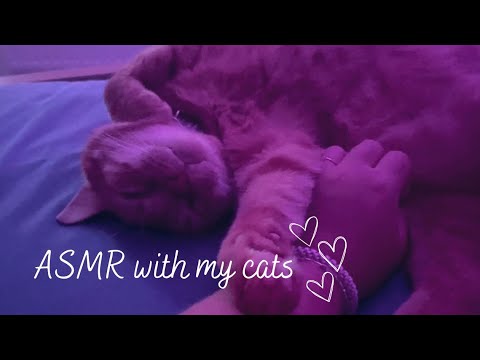 First time trying ASMR | lo-fi