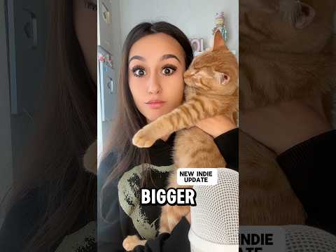 COMMENT #asmr #explore #satisfying #foryou