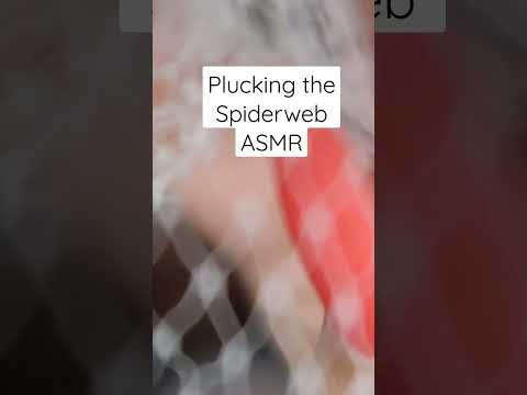 Plucking the spiderweb ASMR #asmr #sleep