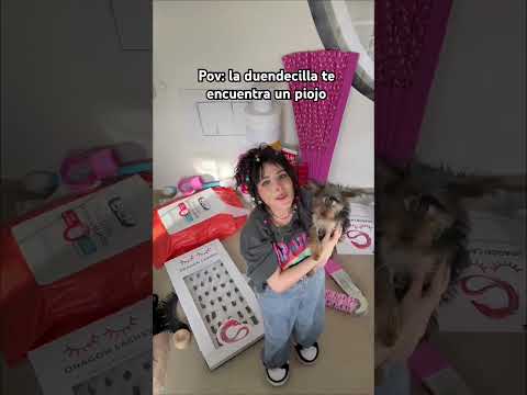 Jejejeje #humor #kids #dog #pets