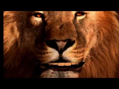 ASMR Lion King