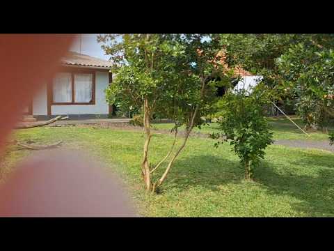 Asmr na pátio de casa, tapping na lente e sons de boca 
