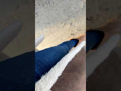 ASMR Jeans Wanderung, weil nun das perfekte Wetter dafür ist. 🌺