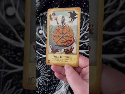 Good things in store for you! #asmr #tarot #timelessreading