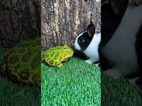 Hey, get away!