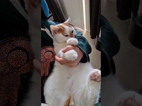 min ända typ av "baby bubbla" jag kommer vilja ha 😻❤️