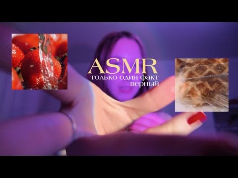asmr | только один факт верный