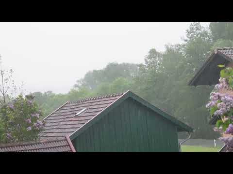 24/7 Cozy rain & thunder ambience 1 Hour for deep sleep & relaxation