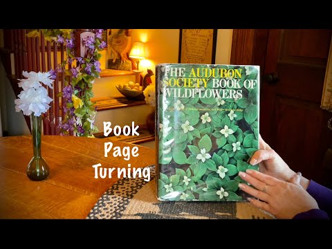 ASMR Audubon Society-Book of Wildflowers (No talking) Page turning/Dust jacket crinkles/Bird sounds