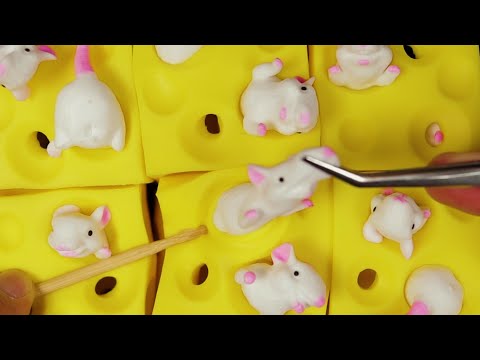 ASMR Plucking Mouse🐭🧀 Who moved my cheese?
