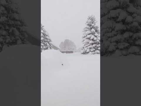 the view outside ❄️ 28 inches and still going! time to grab some tea and get cozy 😪