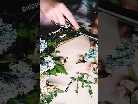 Snipping Flowers #ASMR #floraldesign #asmrlikeasandbox #triggersforsleep #relax