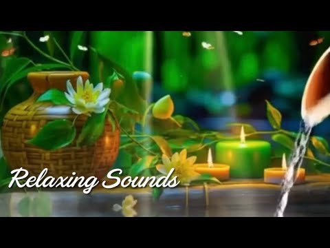 Relaxing Sounds Of Smooth Jazz Music Spring Ambience for Relaxation and Sleeping