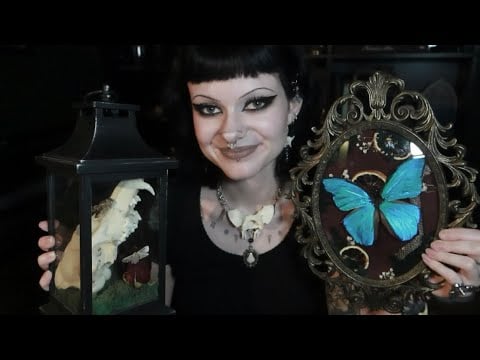 ASMR | Oddities Art, Jewelry, & Displays I’ve Made Recently 🦋🕷️🦴 tapping, tracing, rambling, etc.