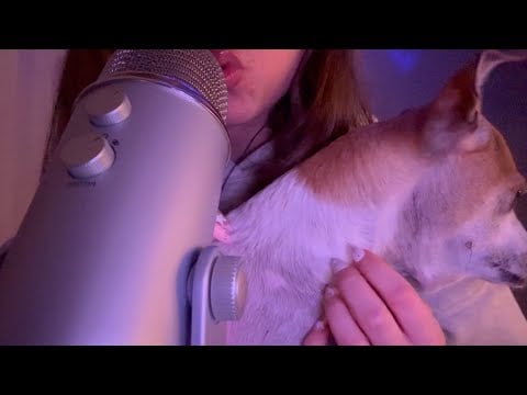 first ASMR video with blue yeti mic! trigger words + hand movements ft my dog ♡