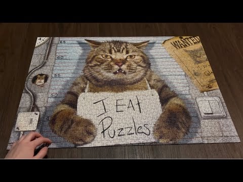 ASMR Scratching On My Finished 1,000 Piece Cat Puzzle