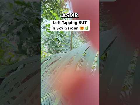 ASMR at a height of 155 meters 😍🌿phone camera tapping 💅