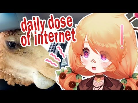 Let's turn our brains off together and watch memes~!