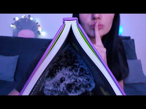 ASMR Fluffy Mic & Book Scratching|Tapping Sounds 📚✨