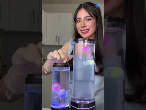 Se ven hermosas 😍 #medusas #jellyfish #asmr