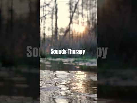 The best therapy for soul ist nature #Short #nature