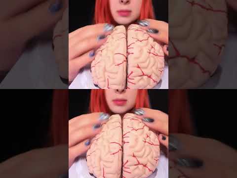 ASMR 🧠 BRAIN TINGLES... Literally! Sleep & Relaxation #asmr #shorts