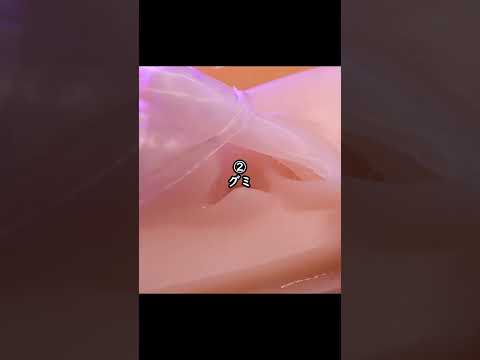 3秒以内にコレ何だか分かったら IQ150💯【ASMR】