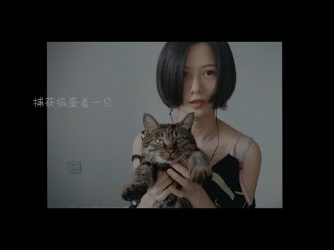 CAT PURRING..猫呼噜声。。。【MIAOW ASMR/阿郁的小黑猫】