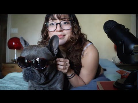[ASMR] Giving a dog tingles 