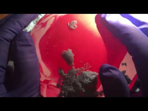 LATEX GLOVES ✋ GENETIC SAND💛 BALLOON 🔴  [[ASMR]]