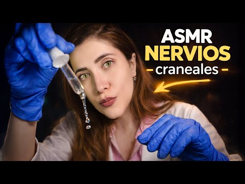 ASMR NERVIOS CRANEALES realista y completo | Asmr Roleplay 4k
