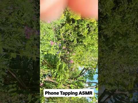 ASMR Phone Tapping Outdoors 🌺 #asmroutdoor #asmroutside #phonetapping #asmrtapping