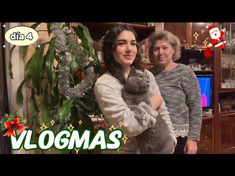 ASMR VLOGMAS 4 | Decoramos la casa de Navidad 🎄🎅🏼🎁