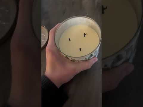 Cozy Candle ASMR  #tingles #visualtingle #asmrshorts