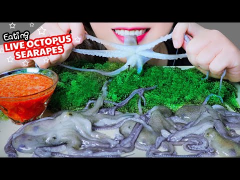 ASMR EATING LIVE OCTOPUS X SEA GRAPES , CRUNCHY CHEWY EATING SOUNDS | LINH-ASMR