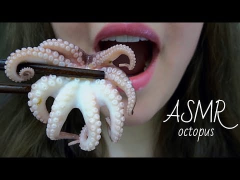 ASMR OCTOPUS 🐙 Big Bites! Chewy Eating Sounds!