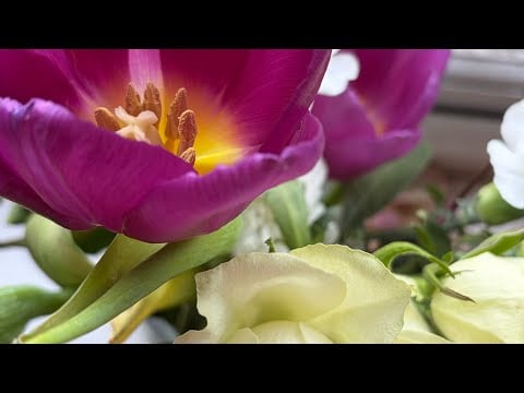random lofi asmr for uuu ⋆˚꩜｡