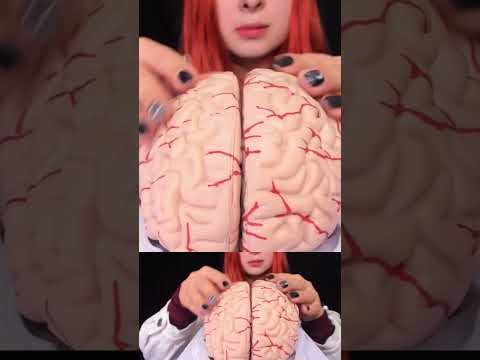 ASMR 🧠 BRAIN TINGLES... Literally! Sleep & Relaxation #asmr #shorts