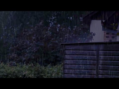 10 HOUR ASMR ✨ Heavy Rain Sounds on a Metal Roof in the Forest 💦 Rain Noises for Sleep & Relaxation