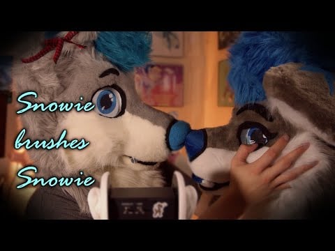 Snowball Brushes Snowie [Furry ASMR]