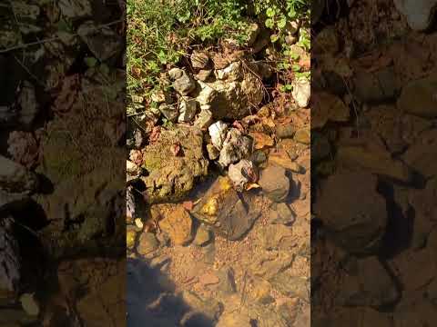 Nature and…?