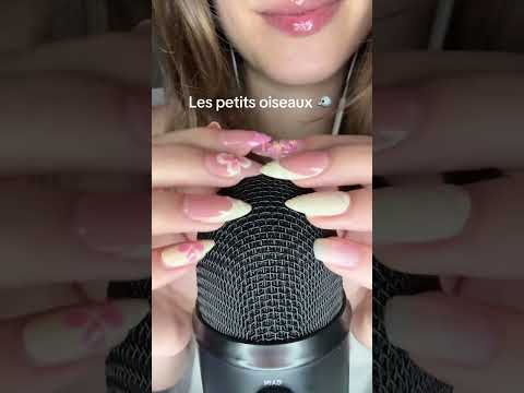 Scratching ASMR 💗 #asmrfrançais #scratchingasmr #asmrpourdormir