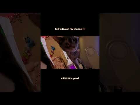 ASMR Bloopers! ─♡─ #asmr #asmrbloopers
