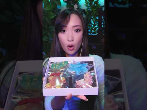DÉGUSTATION CRISTAUX DE NOËL (coffret édition spéciale 🎄❄️)