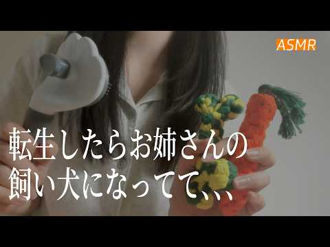 【ASMR】転生したらお姉さんの飼い犬になってた🌃 | 睡眠誘導ロールプレイ