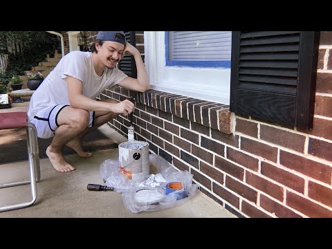 [ASMR] Painting My Window | Nature Sounds | Birds Chirping