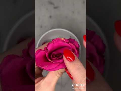 Very Satisfying ASMR 🌹