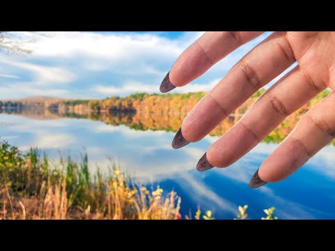 Public ASMR🍁Fall Lakeview Camera Tapping Scratching Lofi