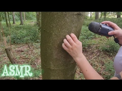 ASMR in the Forest 🍁